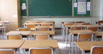 Disinfestazione e derattizzazione scuole Disinfestazione e derattizzazione scuole
