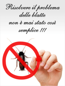 disinfestazione blatte in casa magazzino