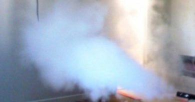 Disinfestazione scarafaggi nei condomini Disinfestazione scarafaggi nei condomini