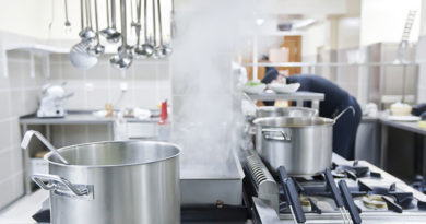 disinfestazione blatte in cucina disinfestazione blatte in cucina