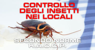 Monitoraggio infestanti nei locali Monitoraggio infestanti nei locali