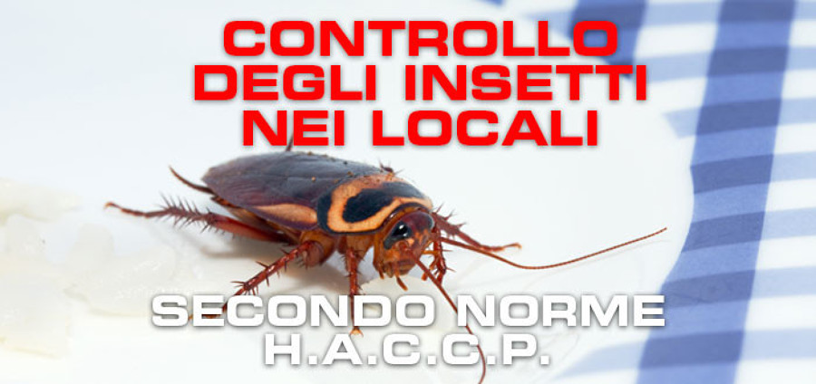 Monitoraggio infestanti nei locali