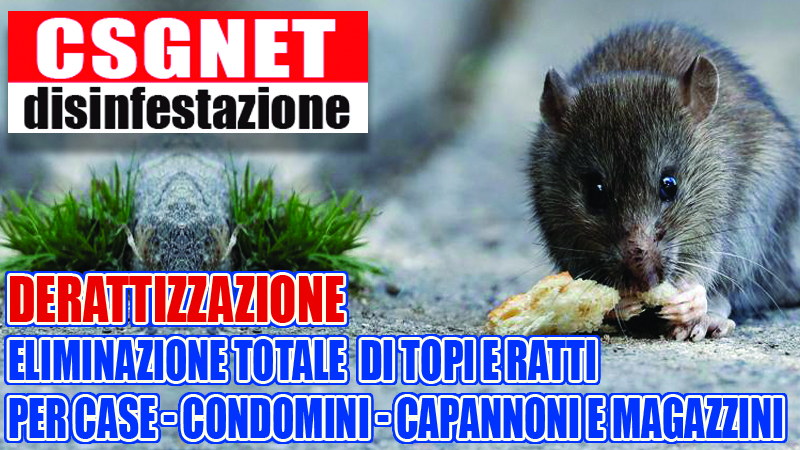 Derattizzazione topi & ratti