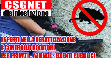 Derattizzazione per aziende Derattizzazione per aziende
