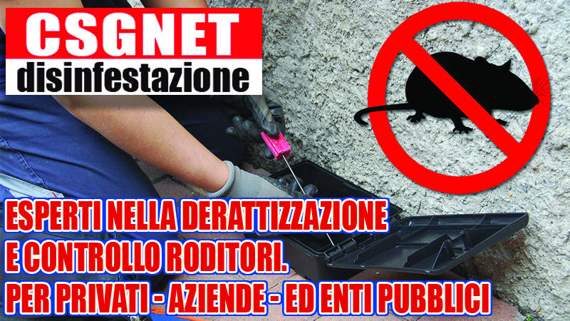 Derattizzazione per aziende