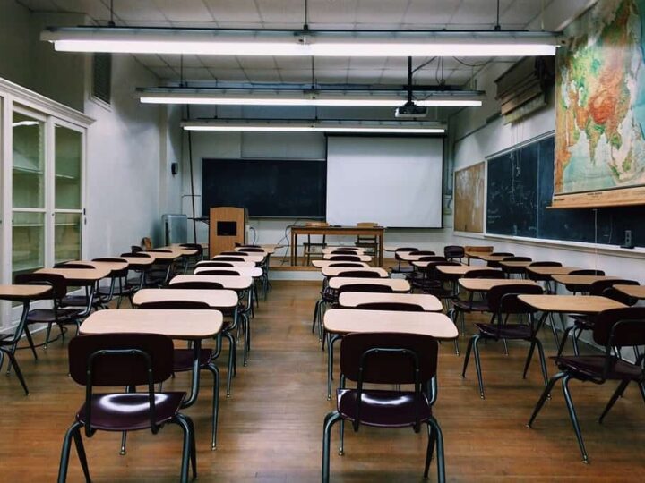 Disinfestazione e derattizzazione scuole